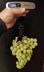 Prima Ukrajiny 31.07.2022 (600x800).jpg