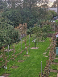 Mráz 1-2. októbra 2025 2.jpg