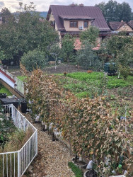 Mráz 1-2. októbra 2025.jpg