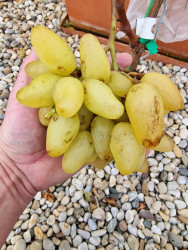 20251022_Belaja Nadežda .jpg