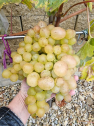 20251022_Senátor Burdaka.jpg