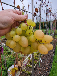 20251115_Senator Burdaka.jpg